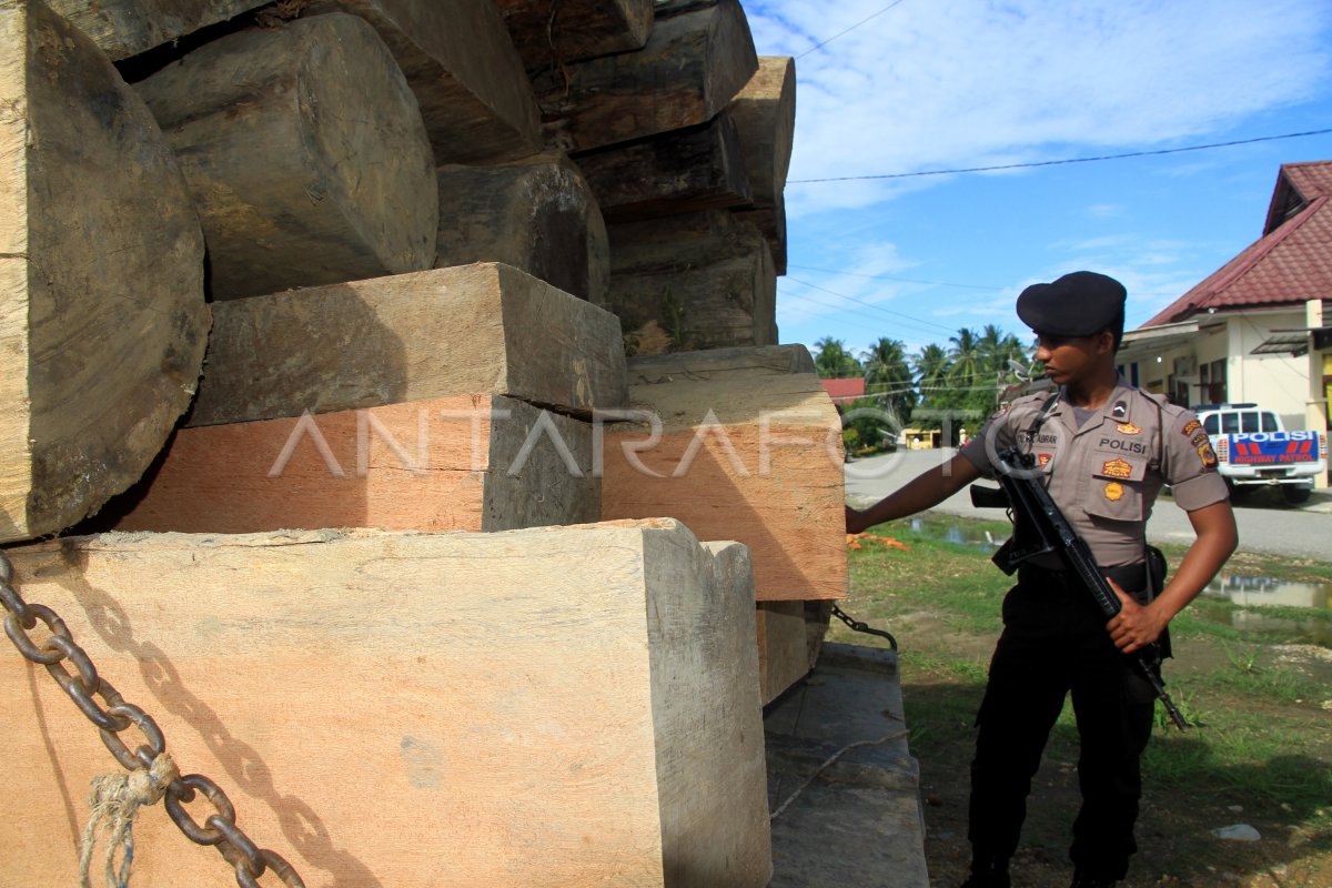 Amankan Kayu Tanpa Dokumen Antara Foto