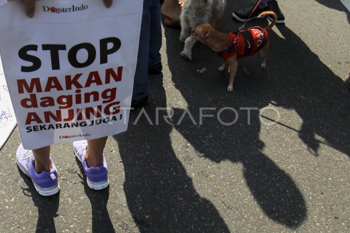 STOP KONSUMSI DAGING ANJING | ANTARA Foto