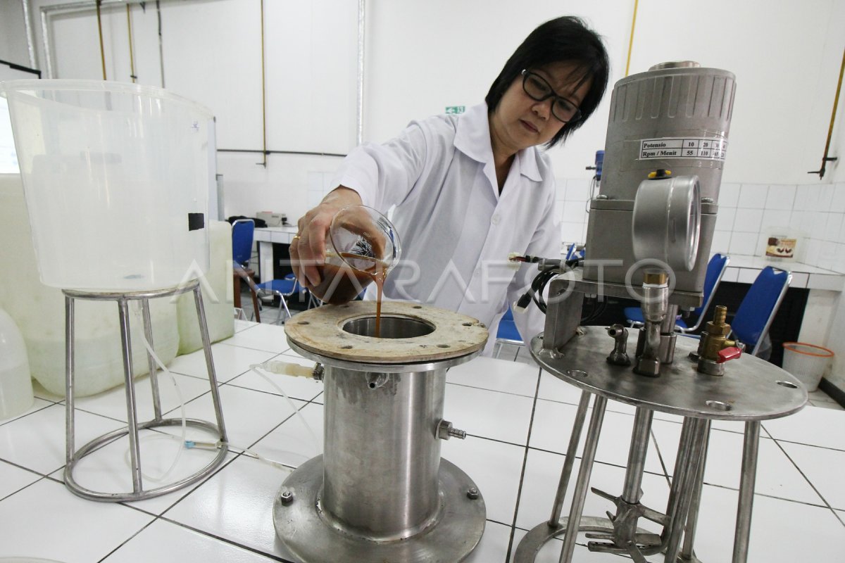 BIODIESEL DARI LIMBAH MINYAK GORENG | ANTARA Foto