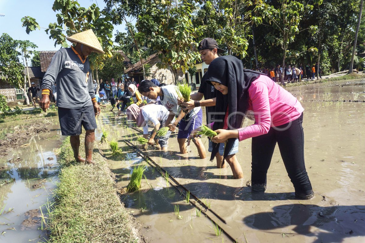 POTENSI DESA WISATA | ANTARA Foto