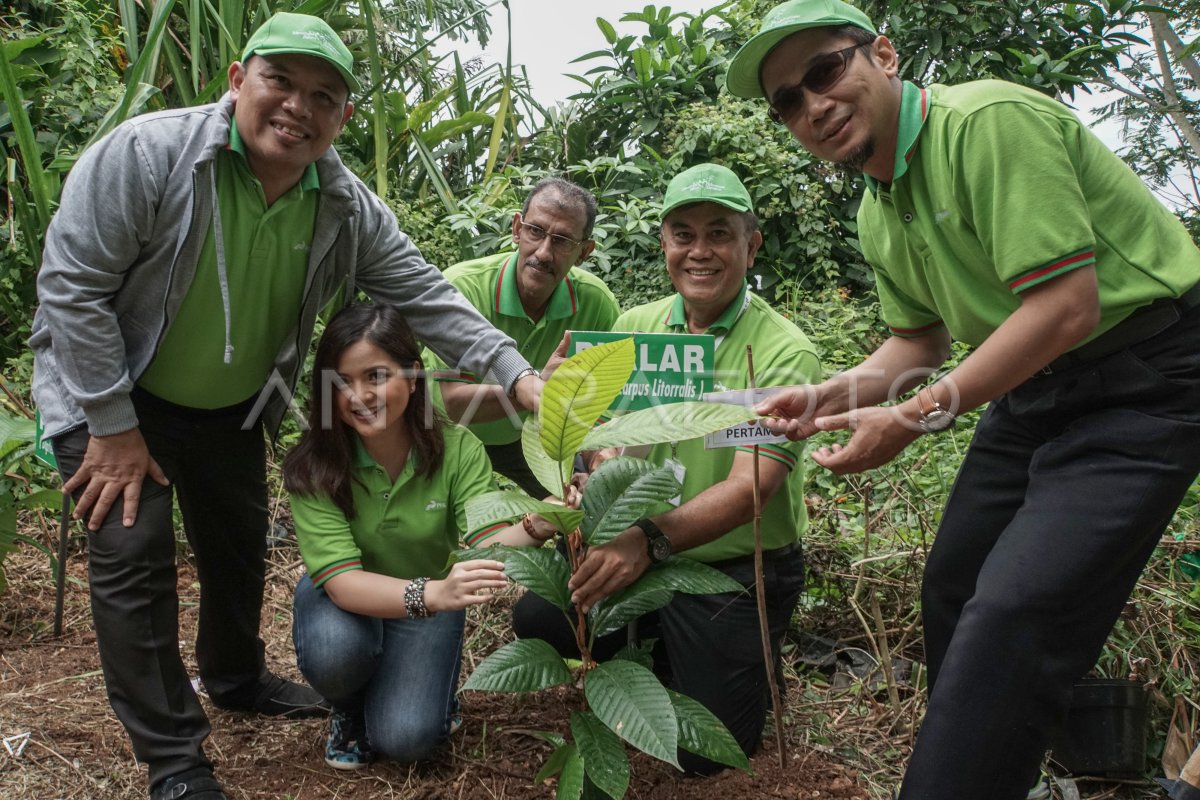 Pertamina Tanam Pohon Langka Antara Foto