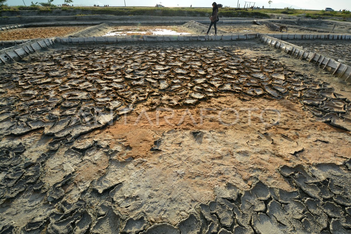 Lahan Garam Mengering Antara Foto