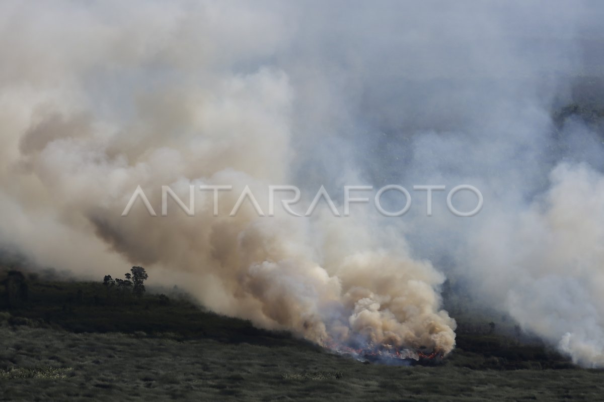 KEBAKARAN LAHAN DI OKI | ANTARA Foto