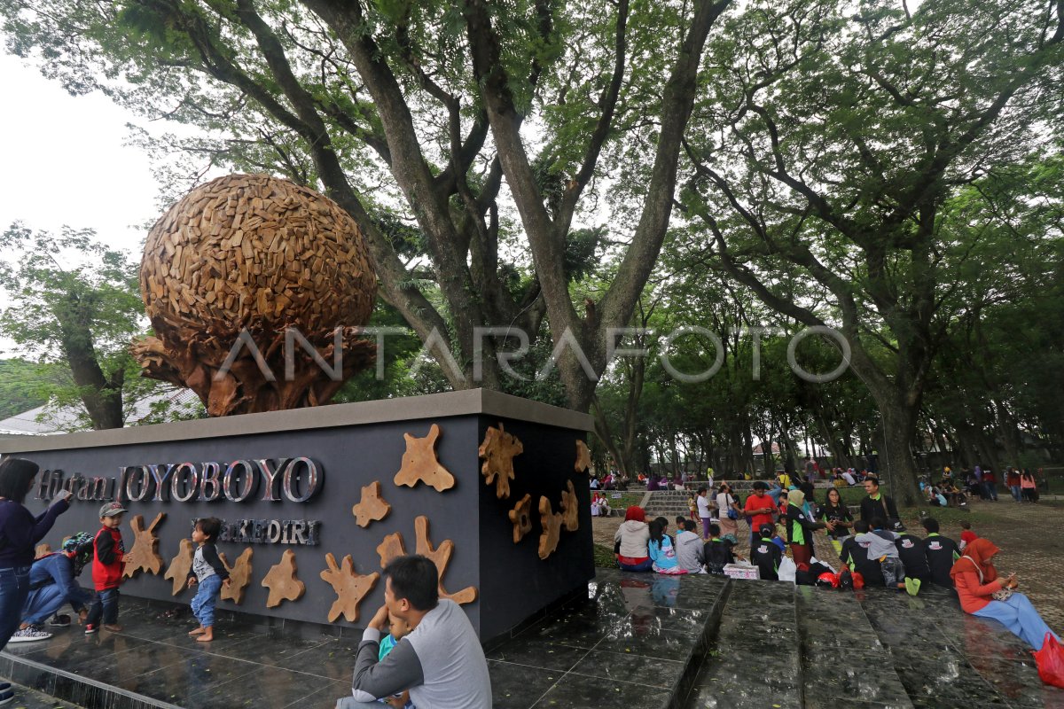 TAMAN HUTAN KOTA | ANTARA Foto