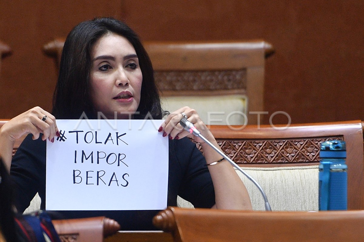 POLEMIK RENCANA IMPOR BERAS | ANTARA Foto