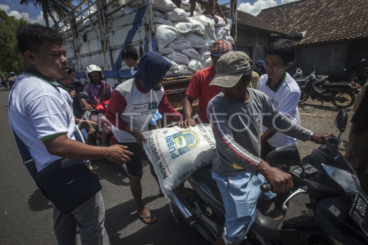 PUPUK UNTUK PETANI KORBAN BANJIR | ANTARA Foto