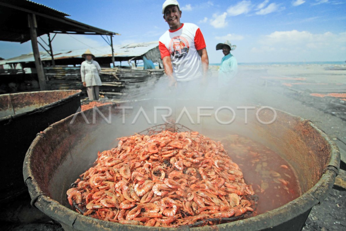 UDANG ASIN MINIM BAHAN BAKU | ANTARA Foto