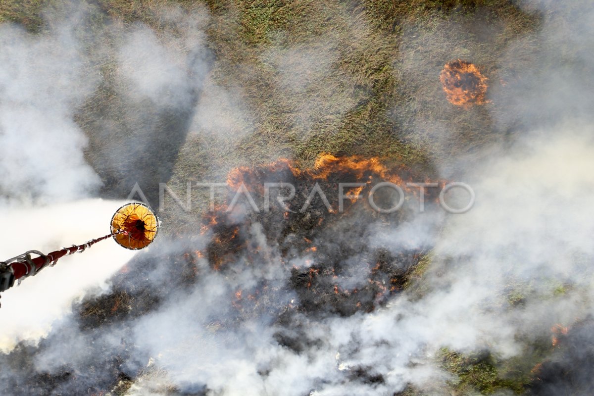 Kebakaran Lahan Di Tulung Selapan Antara Foto 9026