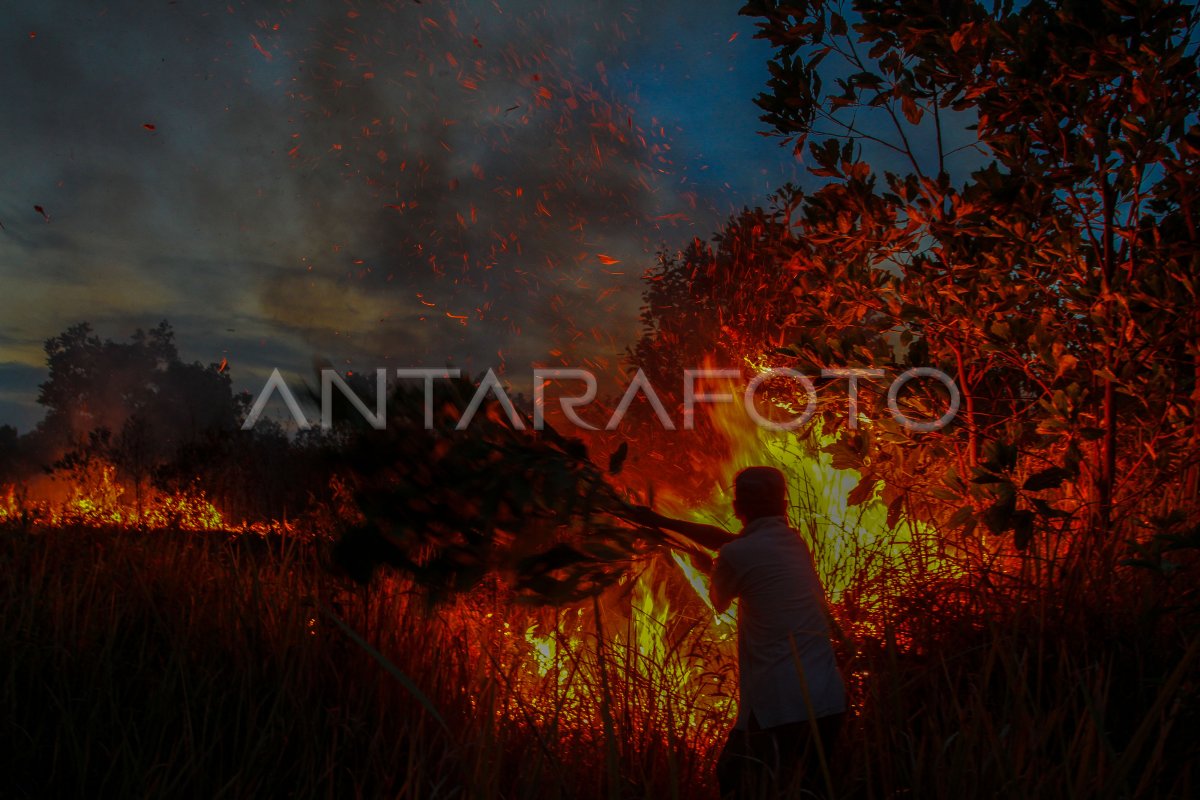 UPAYA PEMADAMAN KEBAKARAN LAHAN | ANTARA Foto