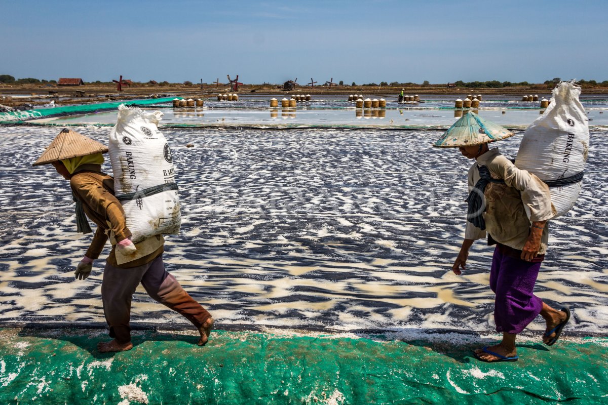 PRODUKSI GARAM NASIONAL MENINGKAT | ANTARA Foto