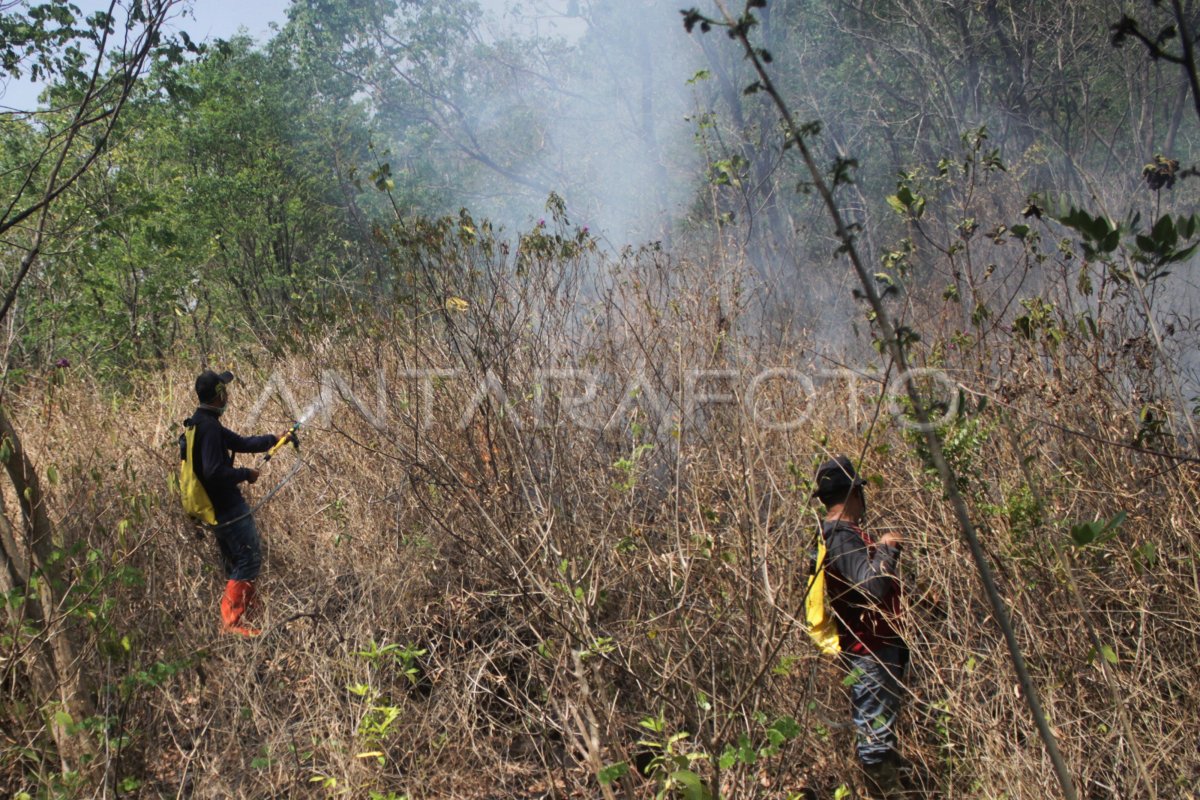 KEBAKARAN HUTAN GUNUNG CIREMAI | ANTARA Foto