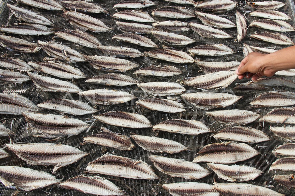 PRODUKSI IKAN KAYU DI ACEH | ANTARA Foto