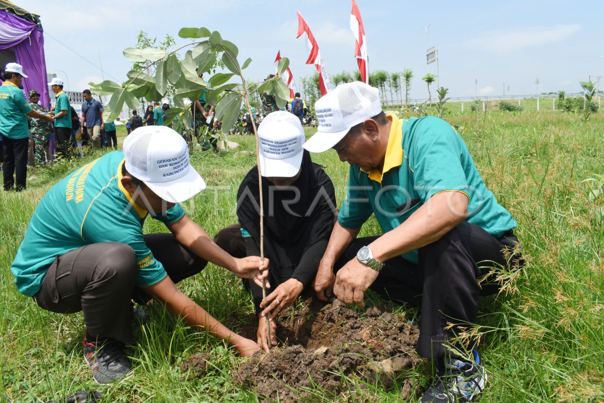 Gerakan Penghijauan Dan Konservasi Alam Antara Foto