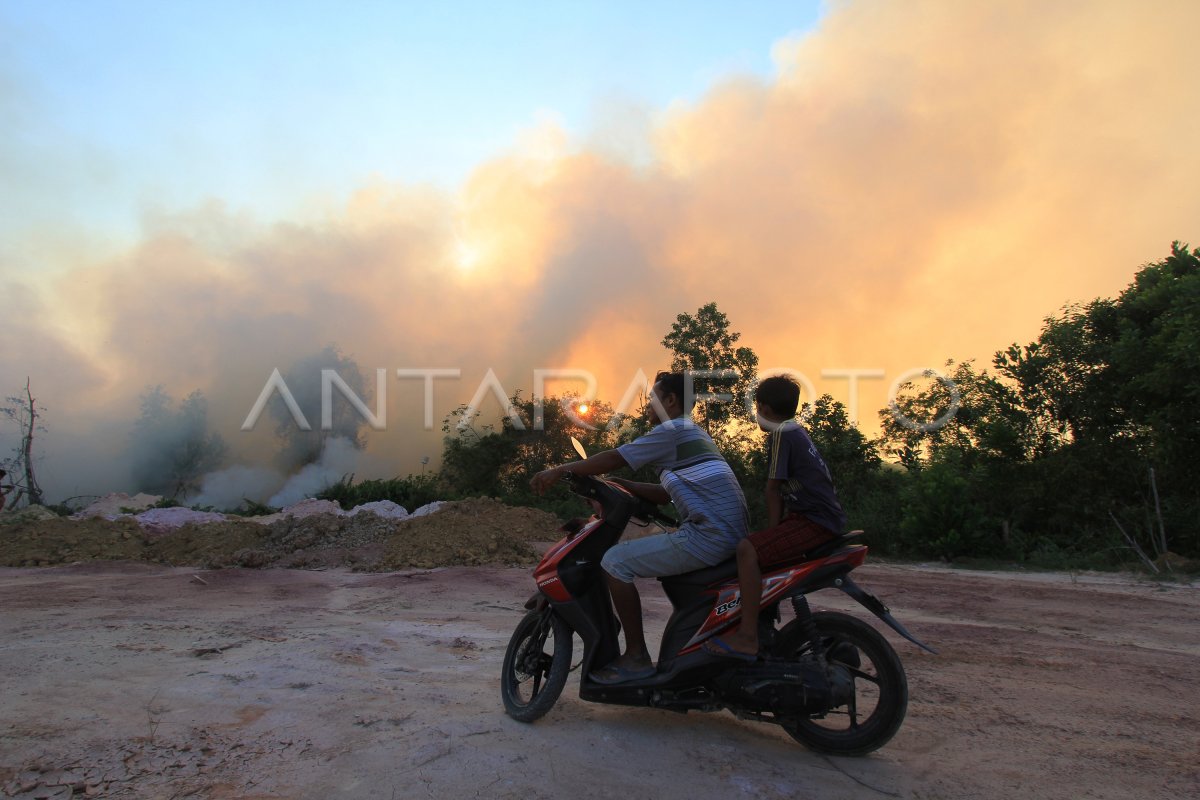 Kebakaran Hutan Dan Lahan Di Riau Meluas Antara Foto