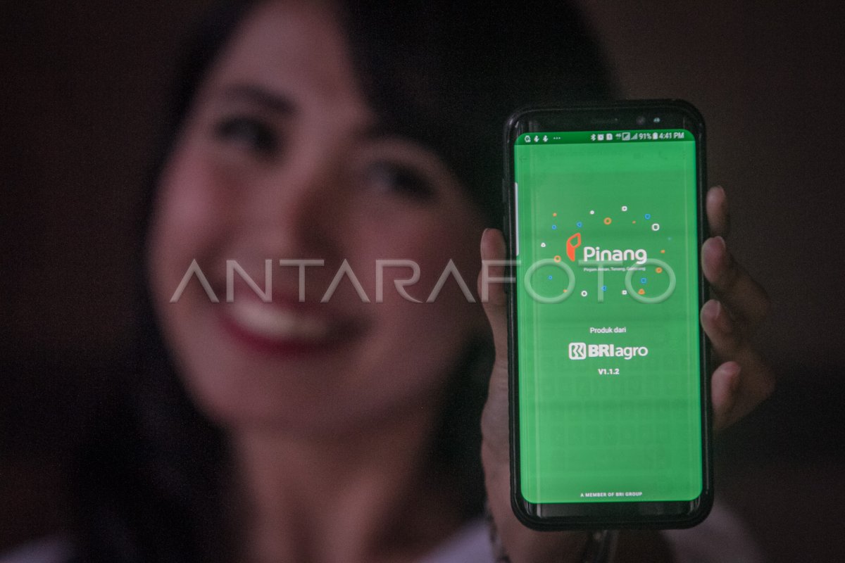 LAUNCHING PINANG BRI AGRO