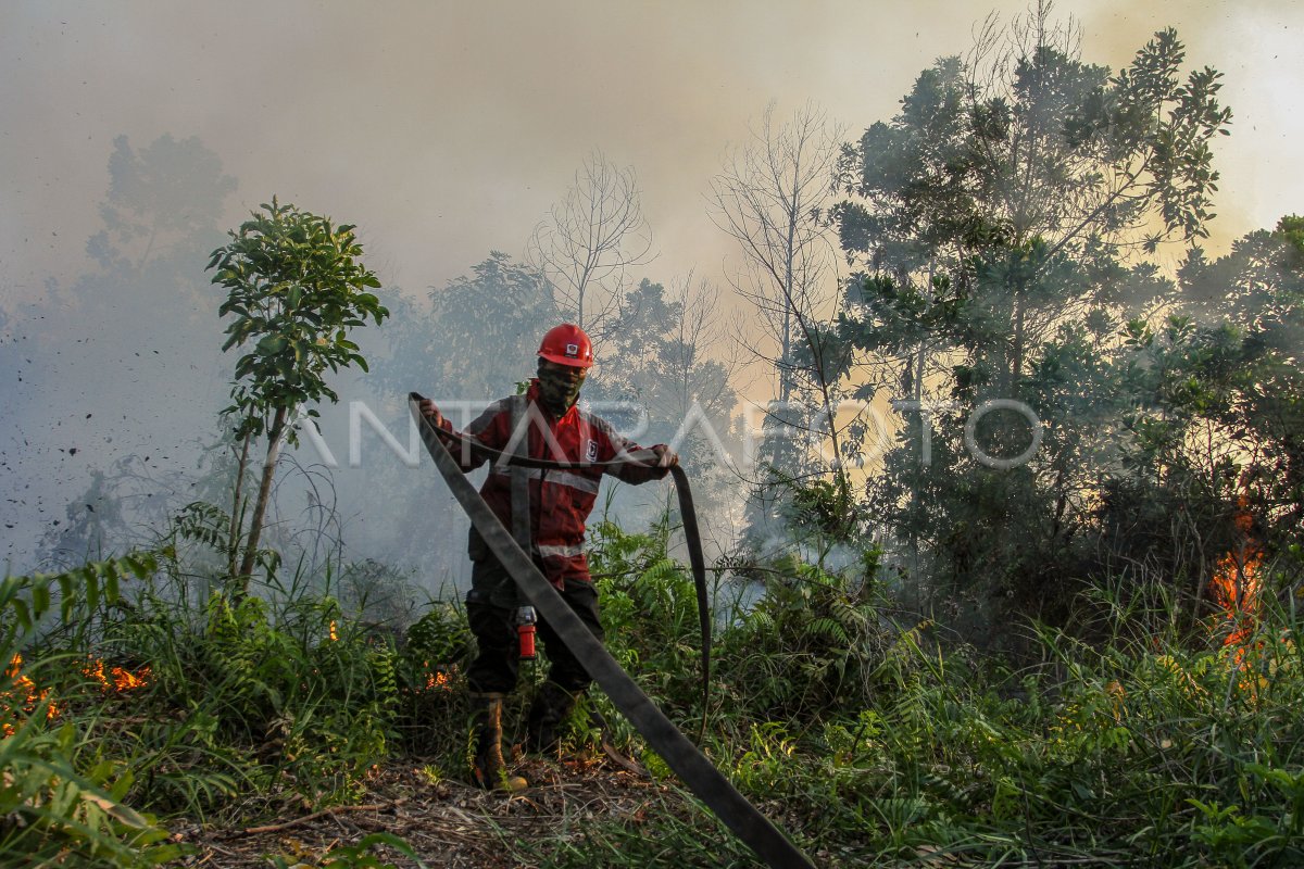 TITIK PANAS DI RIAU MENINGKAT | ANTARA Foto