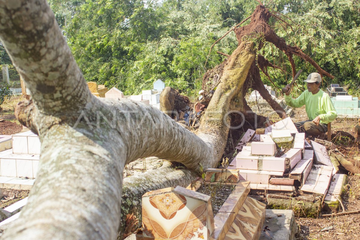 Pohon Tumbang Menimpa Makam Antara Foto