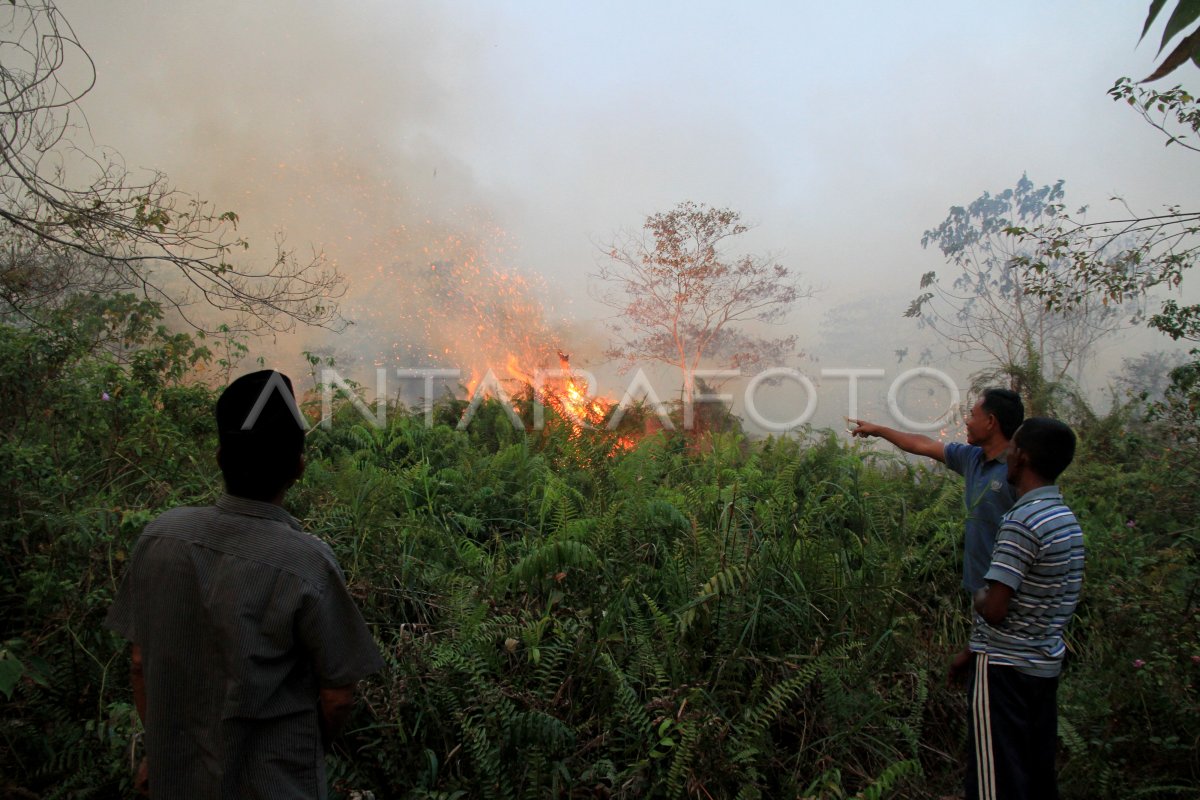 Kebakaran Lahan Di Aceh Barat Antara Foto