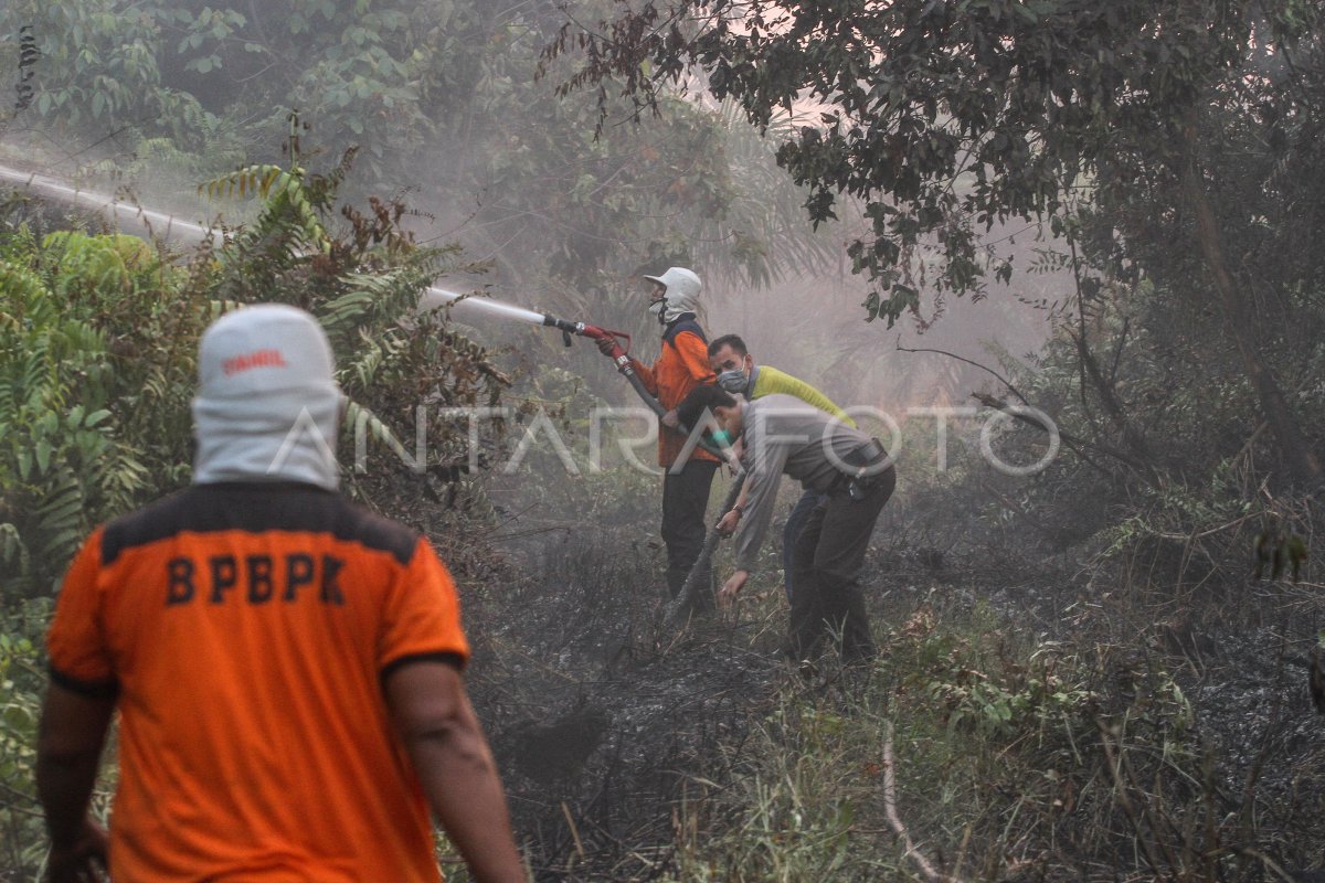 Pemadaman Kebakaran Lahan Gambut Antara Foto