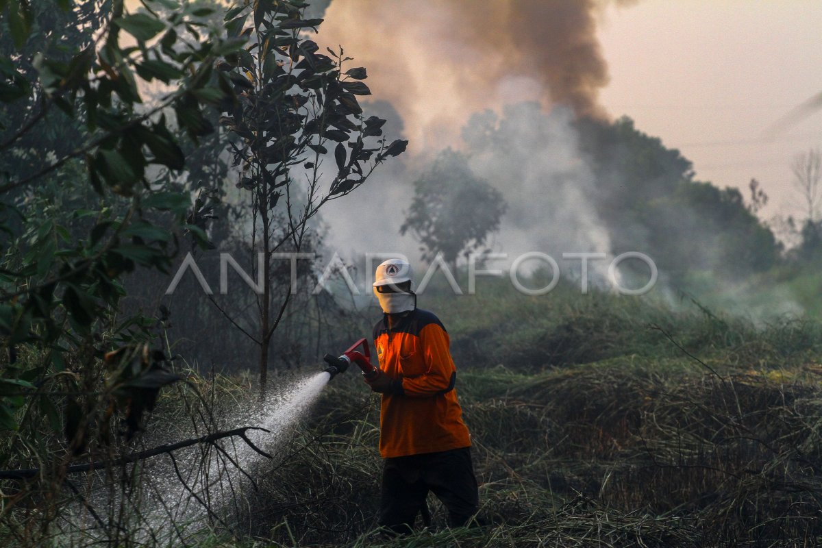 Pemadaman Kebakaran Lahan Gambut Antara Foto