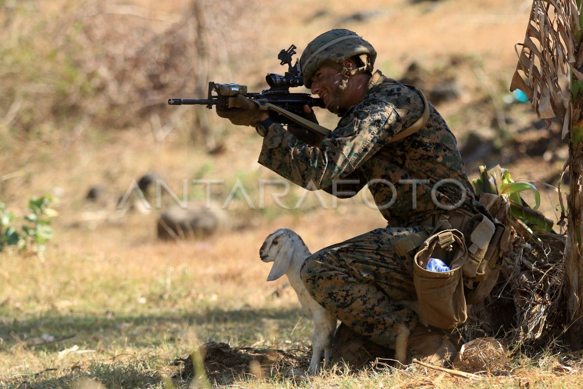 Latihan Bersama Marinir Tni Al Dan Usmc Antara Foto