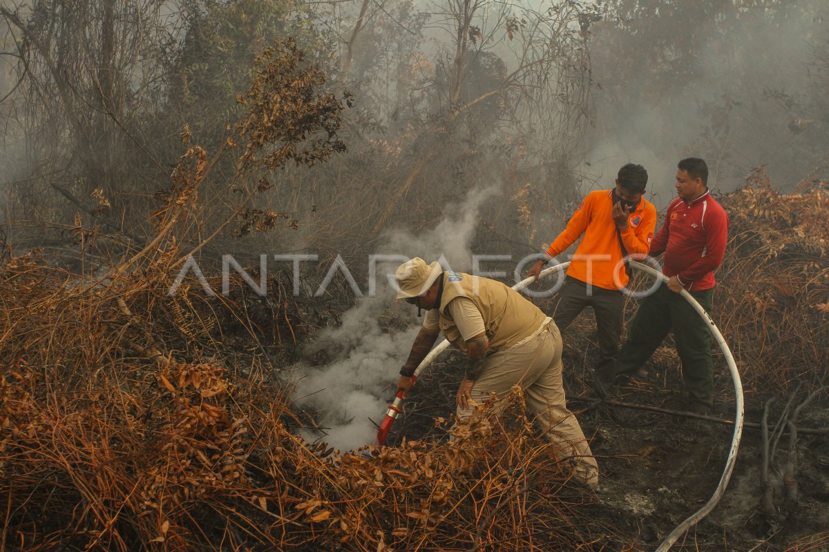 PEMADAMAN KARHUTLA TERKENDALA SUMBER AIR | ANTARA Foto