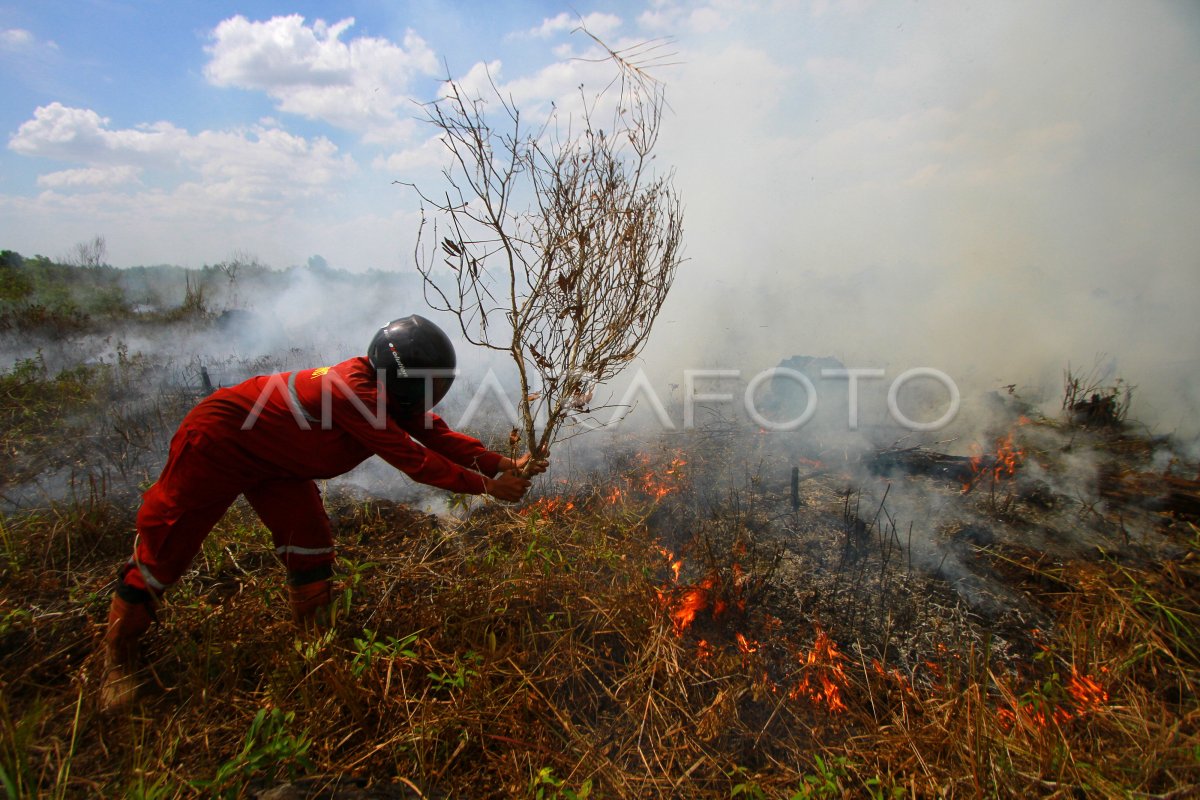 UPAYA PEMADAMAN KEBAKARAN LAHAN GAMBUT | ANTARA Foto