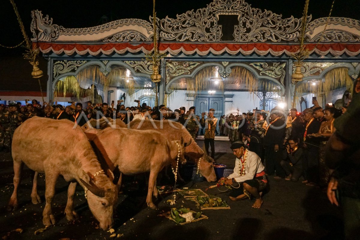 KIRAB SURO KERATON KASUNANAN SOLO | ANTARA Foto