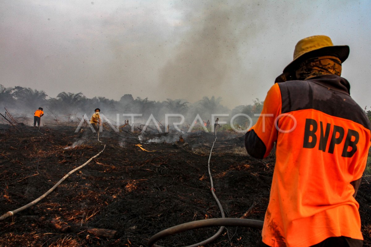 KEBAKARAN HUTAN DAN LAHAN DI PEKANBARU | ANTARA Foto