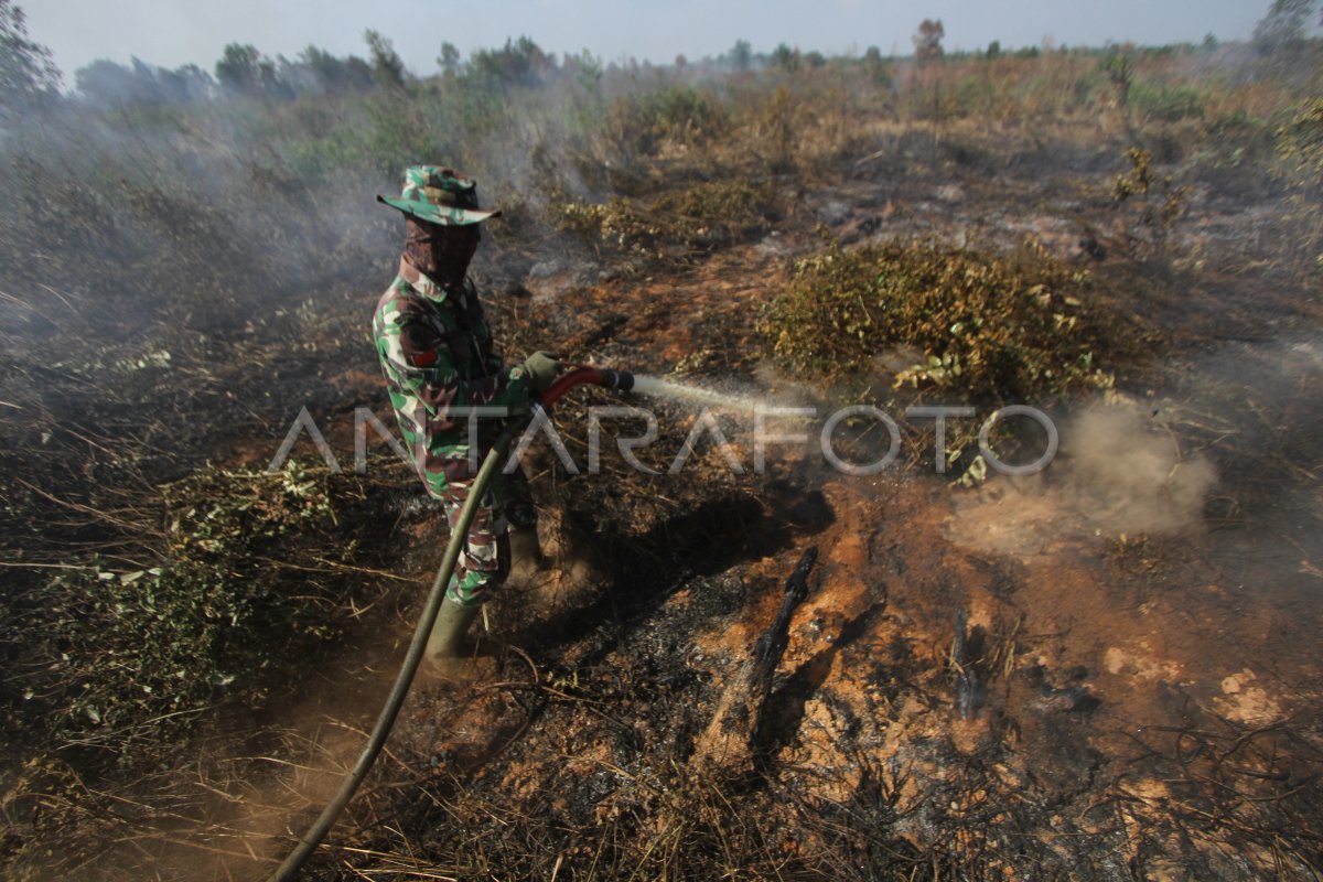 Pemadaman Kebakaran Hutan Dan Lahan Antara Foto 6178