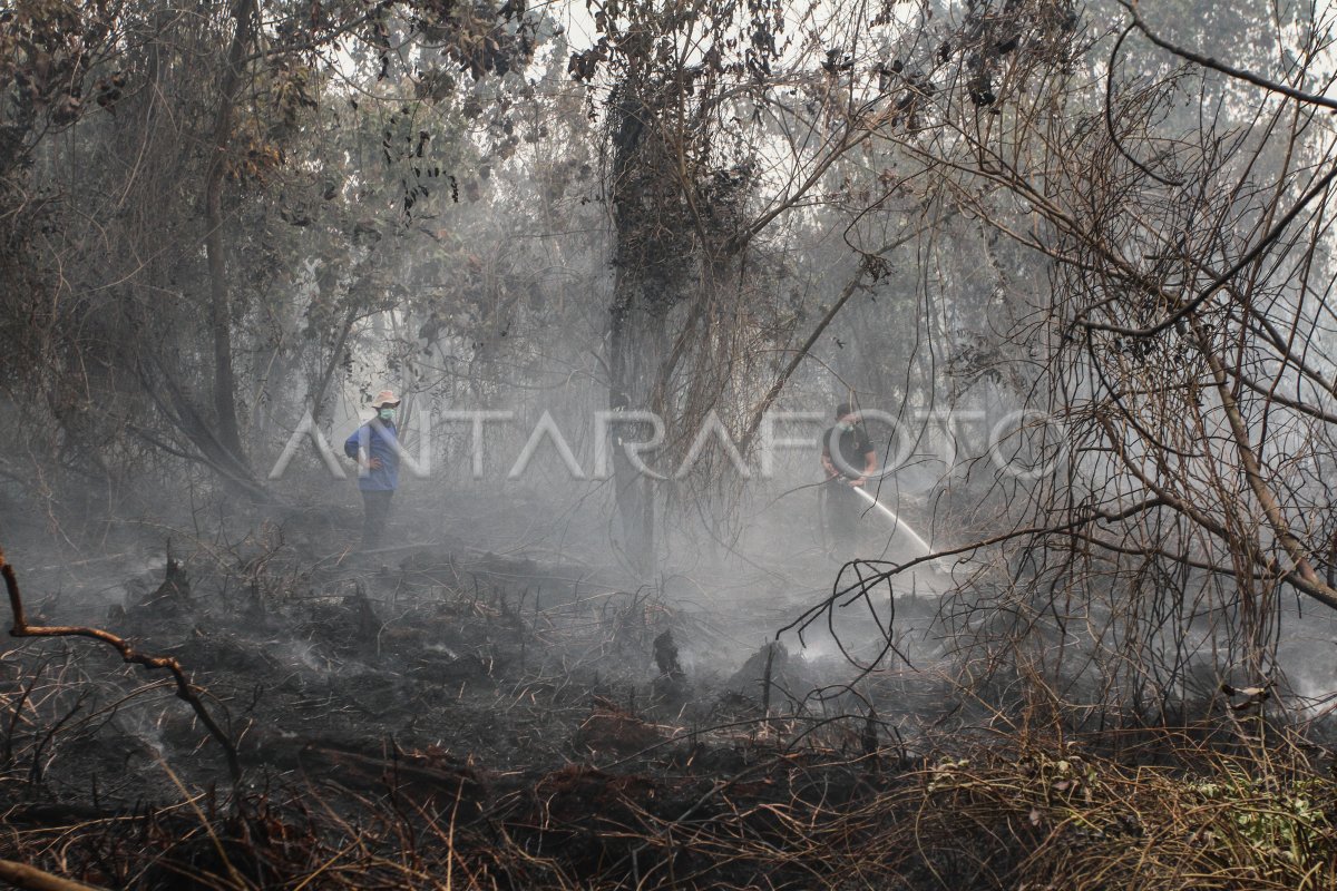 Kebakaran Lahan Di Pekanbaru Antara Foto 8744