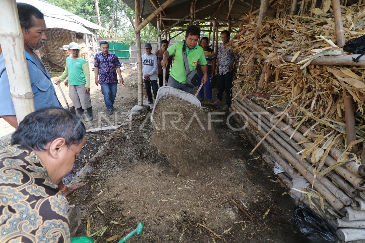 PELATIHAN PEMBUATAN KOMPOS METODE BOKASHI | ANTARA Foto