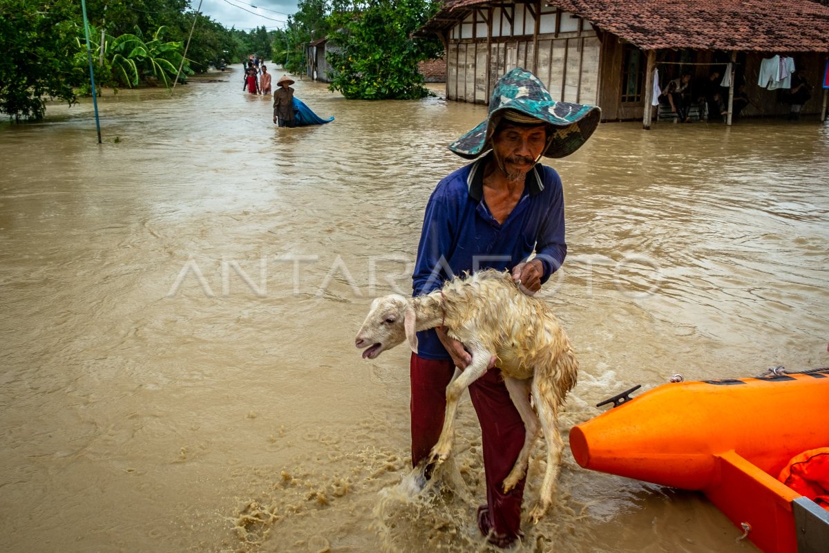 BANJIR AKIBAT TANGGUL JEBOL DI DEMAK | ANTARA Foto