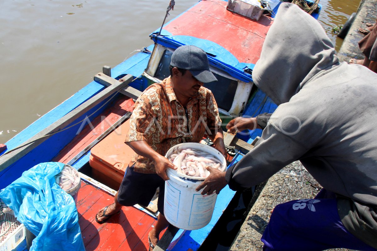 Tangkapan Nelayan Menurun Antara Foto