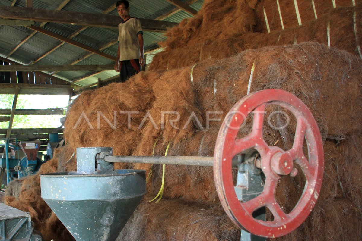 PRODUKSI SERAT SABUT KELAPA TERHENTI | ANTARA Foto