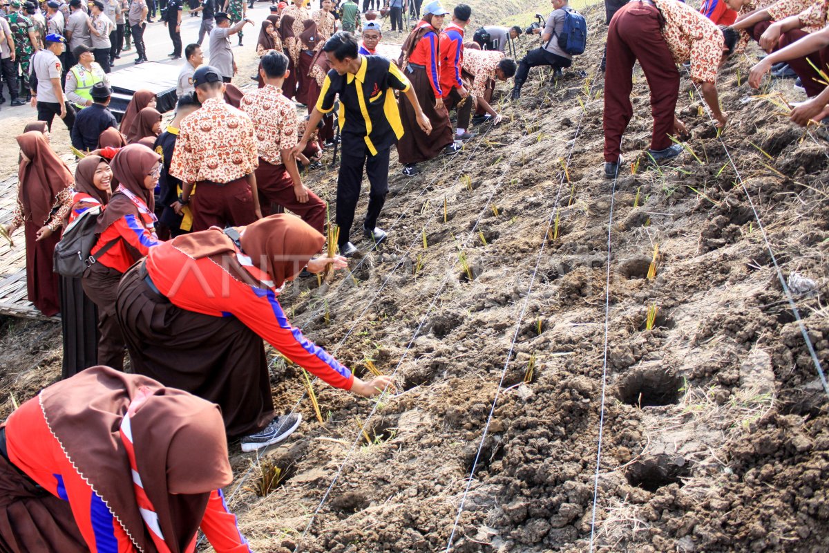PENANAMAN 60.000 BATANG RUMPUT VETIVER | ANTARA Foto