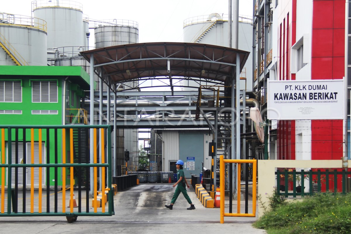 PGN ALIRKAN GAS KE KAWASAN INDUSTRI PELINDO DUMAI | ANTARA Foto