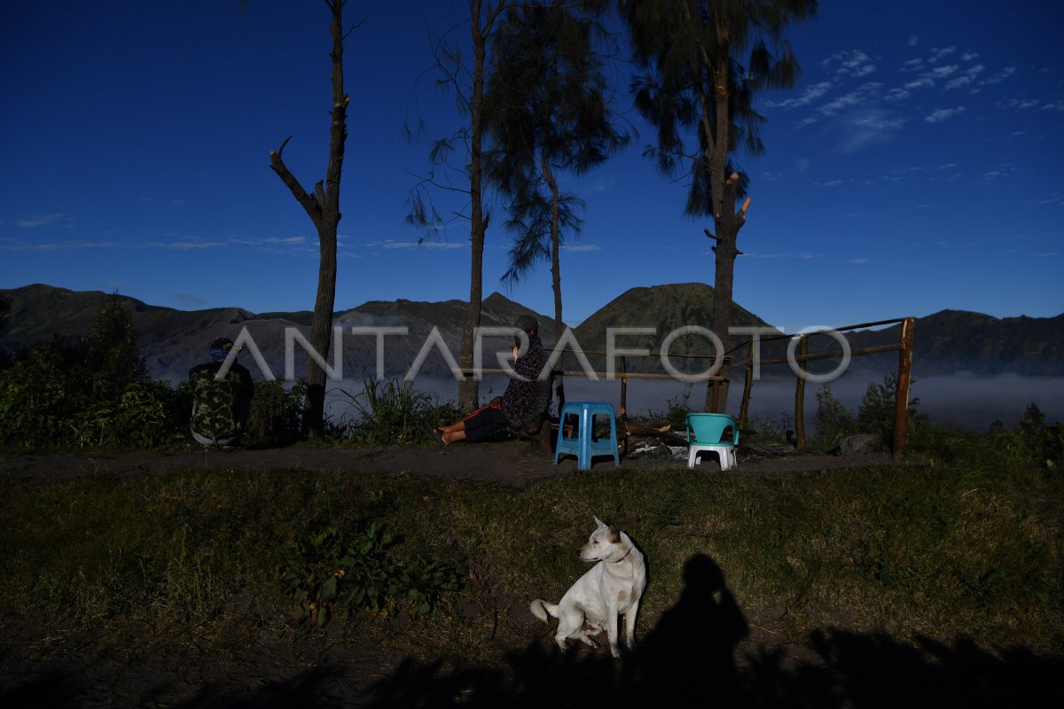 Kawasan Wisata Gunung Bromo Antara Foto