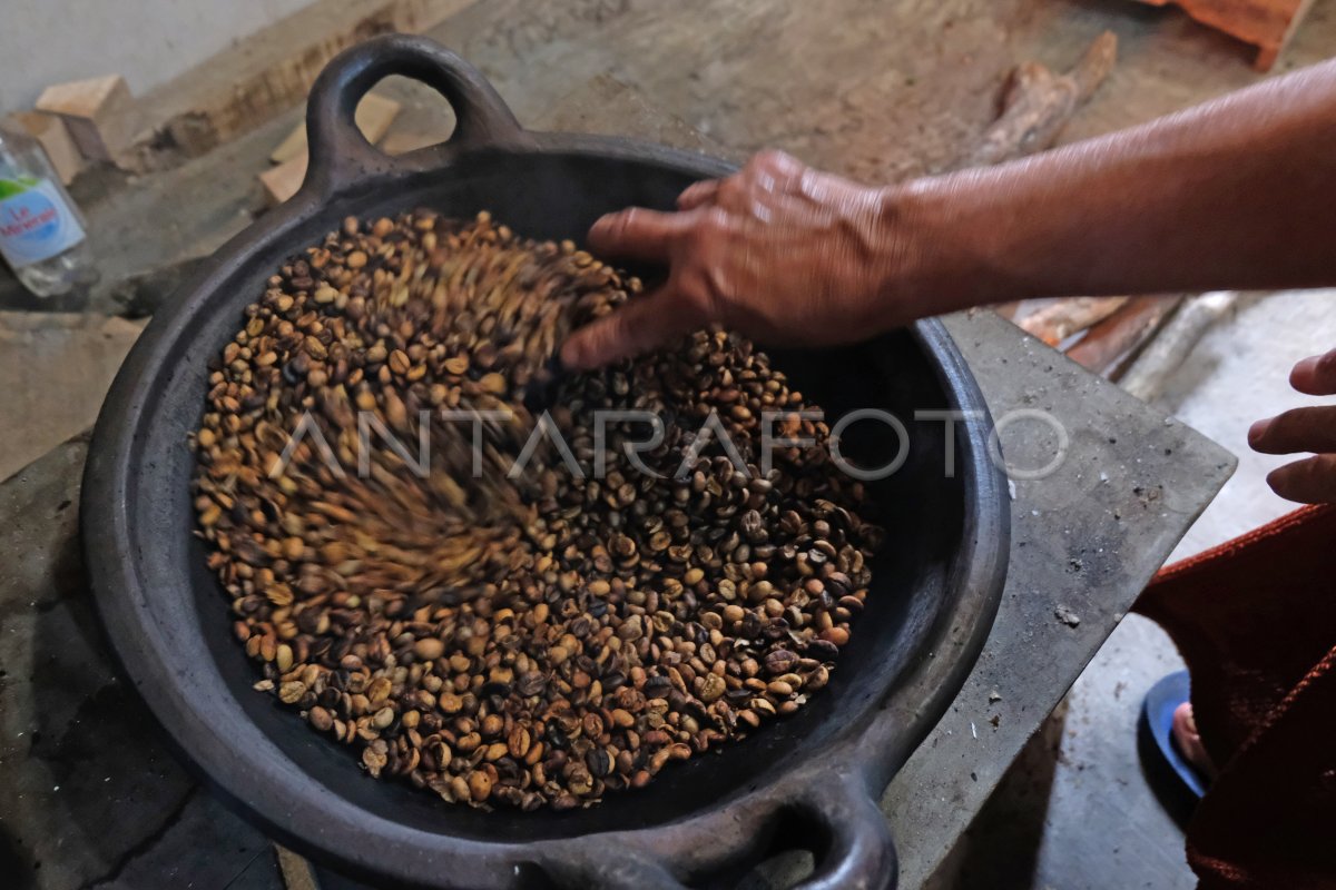 Kopi Robusta Olahan Tradisional Antara Foto 2759