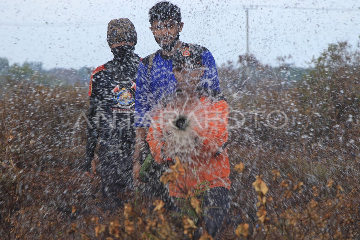 Kebakaran Hutan Dan Lahan Di Aceh Antara Foto