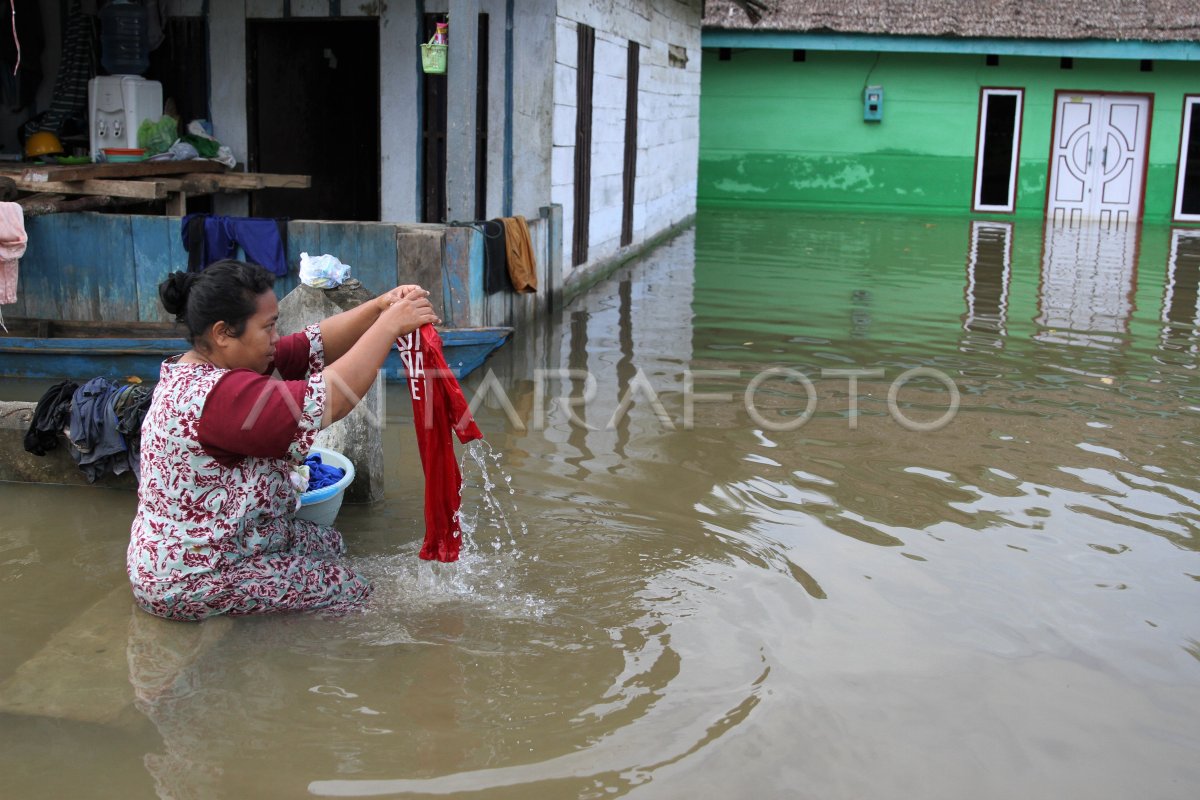 Banjir Rendam 18 Kecamatan Di Konawe Antara Foto 0173