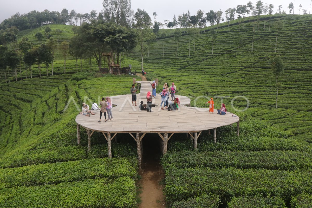 Wisata Sirah Kencong Blitar Dibuka Antara Foto