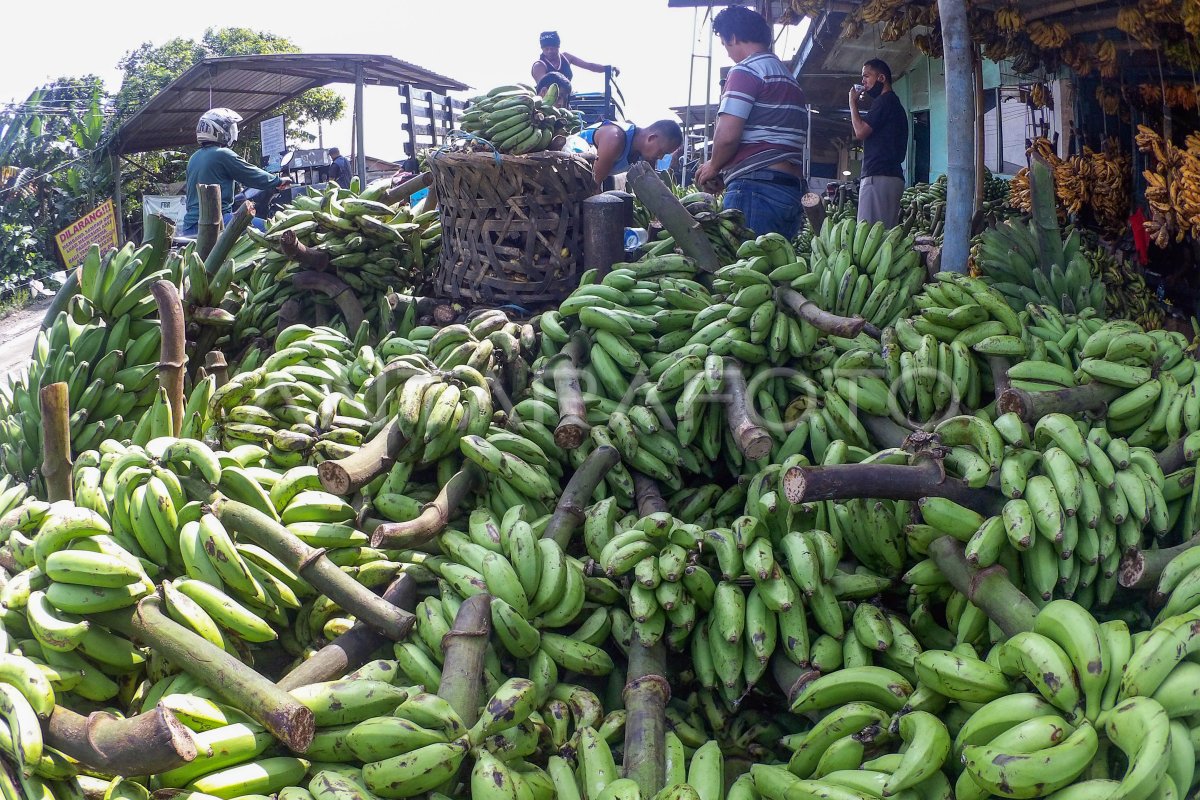 Mendorong Daya Saing Bangsa: Strategi Jitu Meningkatkan Ekspor Lokal Mendorong Daya Saing Bangsa: Strategi Jitu Meningkatkan Ekspor Lokal