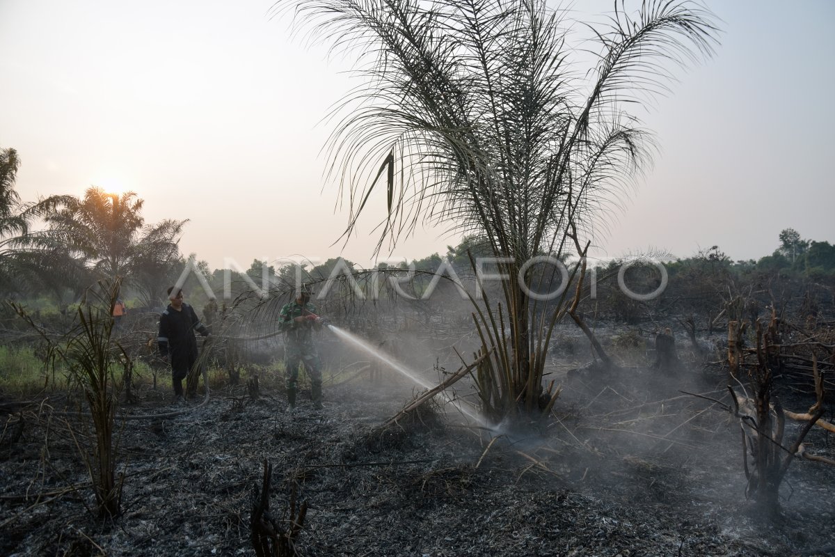 SIAGA DARURAT KARHUTLA RIAU | ANTARA Foto