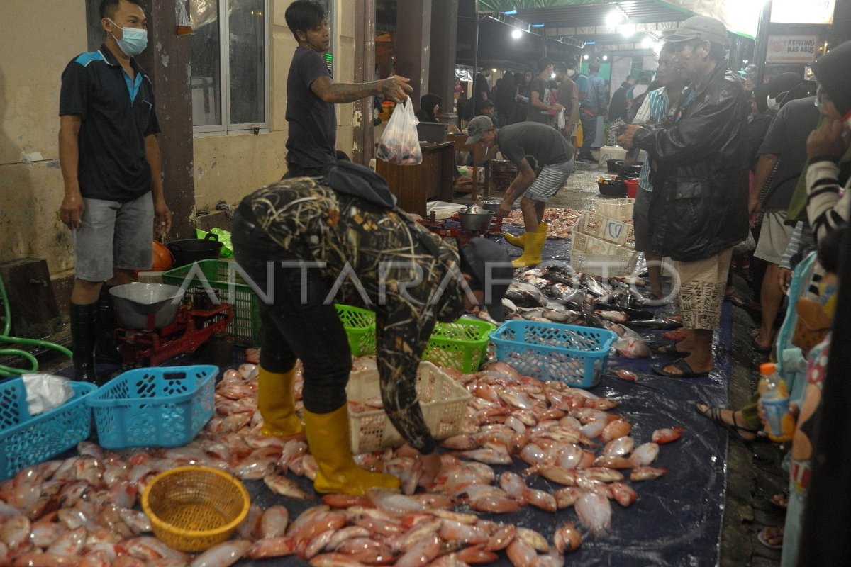 Pasar Ikan Balekambang Solo Kembali Beroperasi Antara Foto