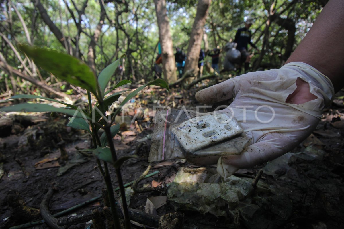 Bersih Bersih Sampah Plastik Di Hutan Mangrove Antara Foto