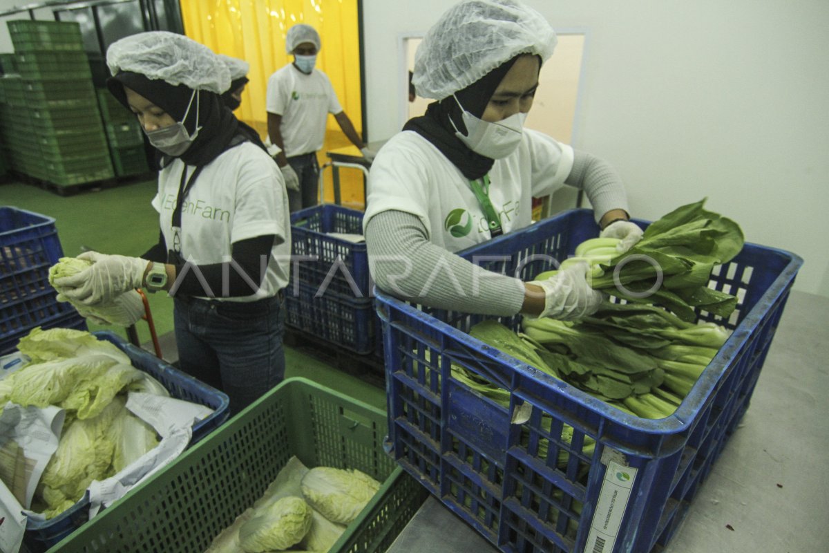 WAREHOUSE EDEN FARM ANTARA Foto