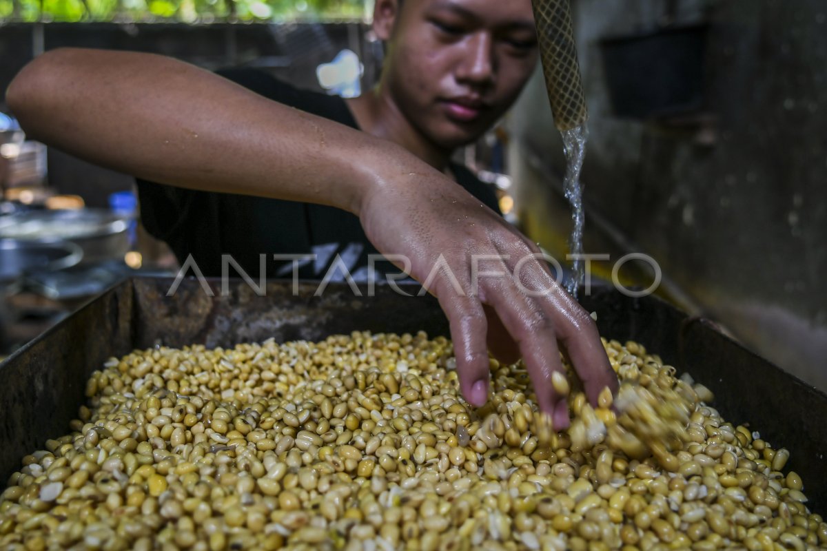 PEMERINTAH BERENCANA BENTUK HOLDING BUMN ULTRA MIKRO | ANTARA Foto