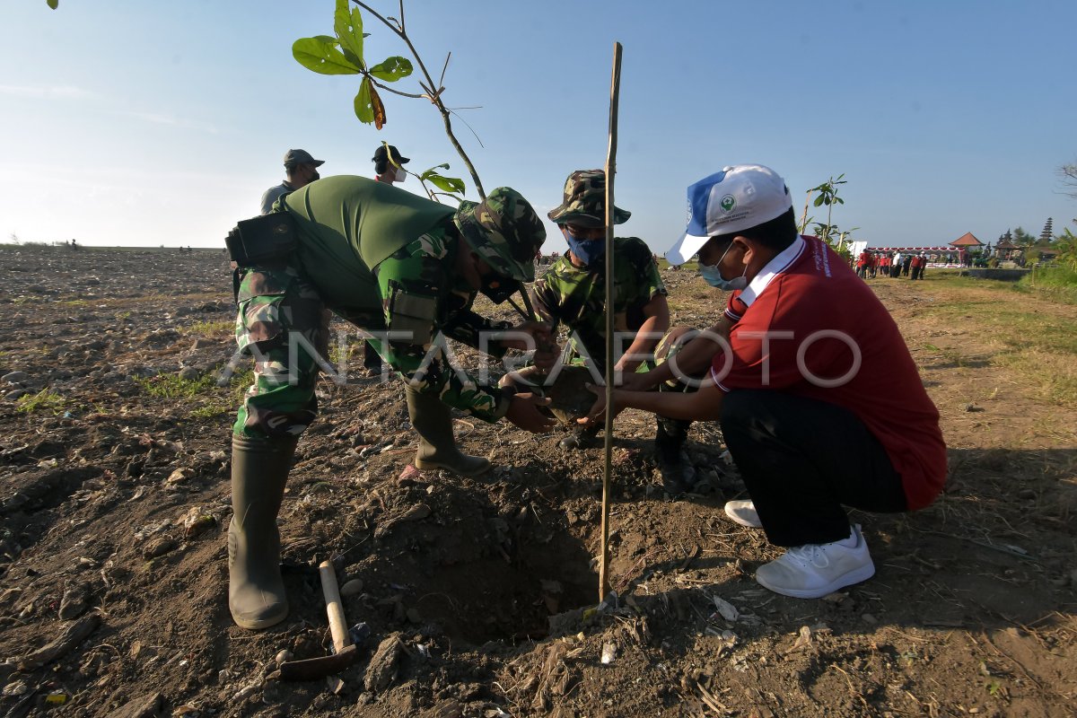 GERAKAN SERENTAK PENANAMAN POHON DI BALI | ANTARA Foto