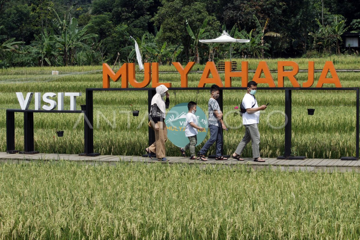 PENURUNAN JUMLAH KUNJUNGAN WISATAWAN DI KAMPUNG TEMATIK BOGOR | ANTARA Foto